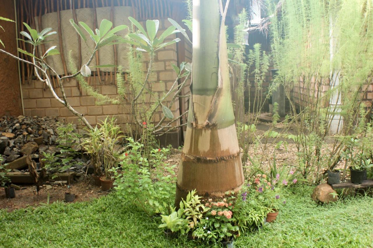 Hotel The Mango Leaf Matara Exterior foto